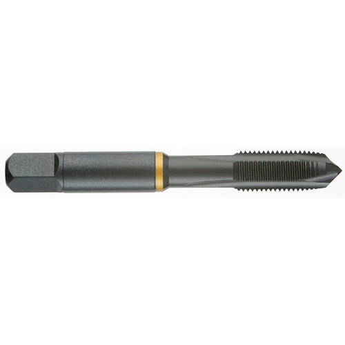 ‎5/16-24 H5 COB PLUG POWERTAP-OXIDE - Caliber Tooling