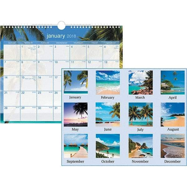 AT-A-GLANCE - 12 Sheet, 15 x 12", Wall Calendar - Tropical - Caliber Tooling