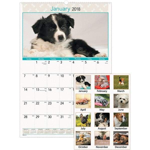 AT-A-GLANCE - 12 Sheet, 15-1/2 x 22-3/4", Wall Calendar - Puppies - Caliber Tooling