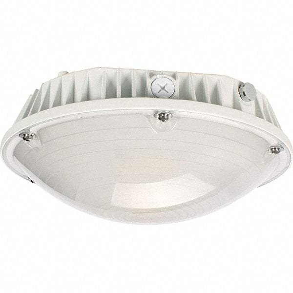 Eiko Global - 60 Watt LED Entry Light - Frosted Polycarbonate Lens, Mogul Base, Pendant & Surface Mount, 120 to 277 Volts, IP65 Ingress Protection, 290mm Long x 114mm High - Caliber Tooling