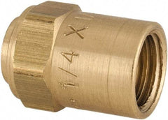 Dixon Valve & Coupling - Reusable Hose Hose Ferrule - 1/4" Hose ID x 1/2" Hose OD - Caliber Tooling