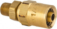 Dixon Valve & Coupling - 1/8 NPTF, Reusable Hose Male Fitting - 1/4" Hose ID x 1/2" Hose OD - Caliber Tooling