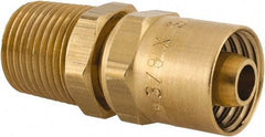 Dixon Valve & Coupling - 1/2 NPTF, Reusable Hose Male Fitting - 3/8" Hose ID x 3/4" Hose OD - Caliber Tooling