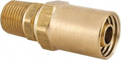 Dixon Valve & Coupling - 1/2 NPTF, Reusable Hose Male Fitting - 1/2" Hose ID x 7/8" Hose OD - Caliber Tooling