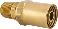 Dixon Valve & Coupling - 1/2 NPTF, Reusable Hose Male Fitting - 1/2" Hose ID x 15/16" Hose OD - Caliber Tooling