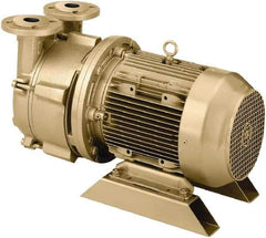 DEKKER Vacuum Technologies - 29 Hg Max, 2-1/2" ANSI 150# RF Flanged Inlet & Discharge, Single Stage Liquid Ring Vaccum Pump - 150 CFM, 10 hp, Cast Iron Housing, 316 Stainless Steel Impeller, 1,750 RPM, 230/460 Volts - Caliber Tooling