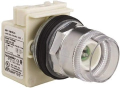 Schneider Electric - 1.18 Inch Mount Hole, Extended Straight, Pushbutton Switch Only - Round, Green Pushbutton, Illuminated, Momentary (MO), Weatherproof, Dust and Oil Resistant - Caliber Tooling