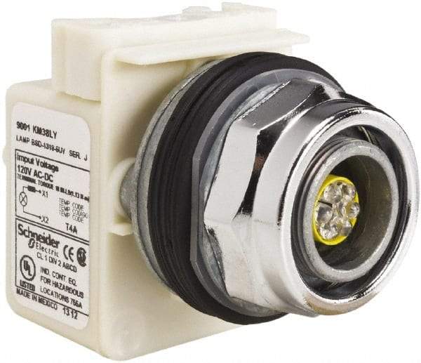 Schneider Electric - 120 V LED Indicating Light - Screw Clamp Connector - Caliber Tooling