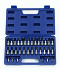 32 Piece - 1/4 & 3/8" Drive - Bit Socket Set - Caliber Tooling