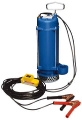 Warren Rupp - 1/3 hp, 12 VDC Amp Rating, 12 VDC Volts, Nonautomatic Operation, Dewatering Pump - Aluminum Housing - Caliber Tooling