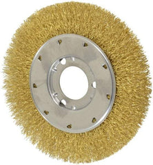 Osborn - 6" OD, 1-1/4" Arbor Hole, Crimped Brass Wheel Brush - 5/8" Face Width, 1-1/8" Trim Length, 0.014" Filament Diam, 6,000 RPM - Caliber Tooling