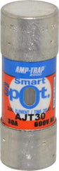 Ferraz Shawmut - 500 VDC, 600 VAC, 30 Amp, Time Delay General Purpose Fuse - Clip Mount, 2-1/4" OAL, 100 at DC, 200 at AC, 300 (Self-Certified) kA Rating, 13/16" Diam - Caliber Tooling