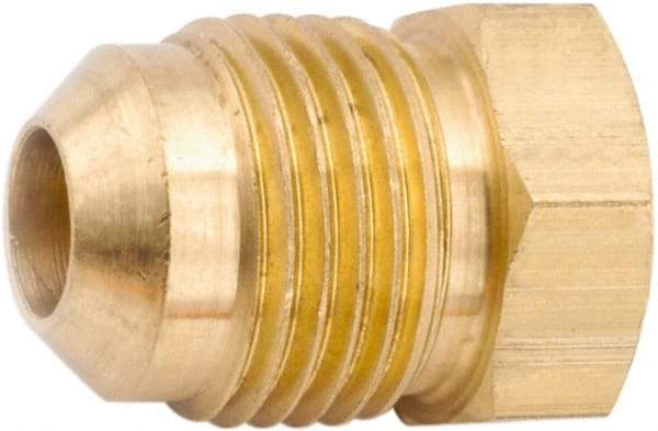 ANDERSON METALS - 1/2" Tube OD, 45° Lead Free Brass Flared Tube Plug - Flare Ends - Caliber Tooling