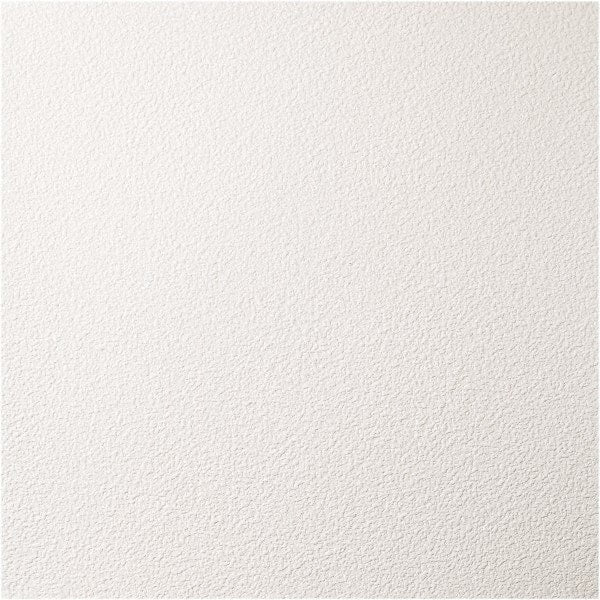 Genesis - Pack of 12 Stucco Pro 23-3/4" x 23-3/4" x 0.197" Vinyl Ceiling Tiles - Caliber Tooling