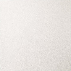 Genesis - Pack of 12 Stucco Pro 23-3/4" x 23-3/4" x 0.197" Vinyl Ceiling Tiles - Caliber Tooling