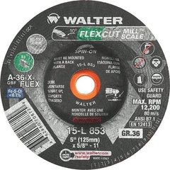 WALTER Surface Technologies - 5" Diam, 36 Grit Surface Grinding Wheel - Caliber Tooling