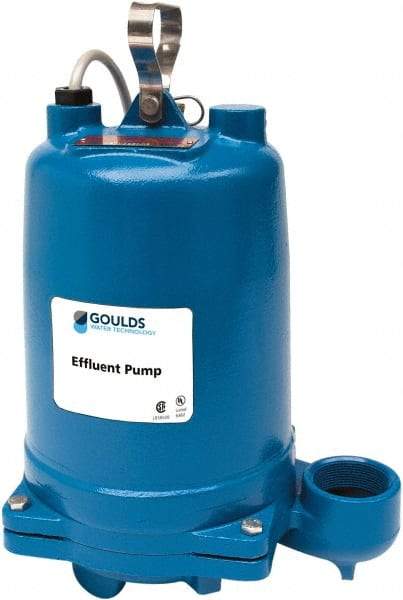 Goulds Pumps - 1 hp, 208 VAC Amp Rating, 208 VAC Volts, Single Speed Continuous Duty Operation, Effluent Pump - 1 Phase, Cast Iron Housing - Caliber Tooling