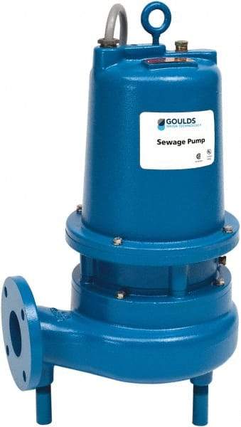 Goulds Pumps - 5 hp, 230 VAC Amp Rating, 230 VAC Volts, Single Speed Continuous Duty Operation, Sewage Pump - 1 Phase, Cast Iron Housing - Caliber Tooling