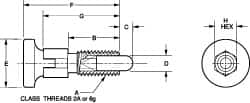 Vlier - 3/8-16, 1/4" Max Plunger Diam, 0.25 Lb Init to 2 Lb Final End Force, Knob Handle Plunger - Delrin Knob, 0.94" Body Length, 3/4" Length Under Head/Shoulder, 0.18" Plunger Projection - Caliber Tooling