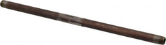 B&K Mueller - Schedule 40, 1/4" Diam x 12" Long Steel Black Pipe Nipple - Threaded - Caliber Tooling