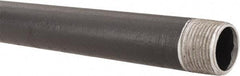 B&K Mueller - Schedule 40, 3/4" Diam x 24" Long Steel Black Pipe Nipple - Threaded - Caliber Tooling