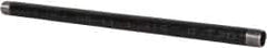 B&K Mueller - Schedule 40, 1" Diam x 24" Long Steel Black Pipe Nipple - Threaded - Caliber Tooling