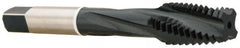 Accupro - #10-32 3 Flute Modified Bottoming Spiral Flute Tap - Vanadium High Speed Steel, Nitride Finish, 2-3/8" OAL, Right Hand Flute, Right Hand Thread, H5 - Caliber Tooling