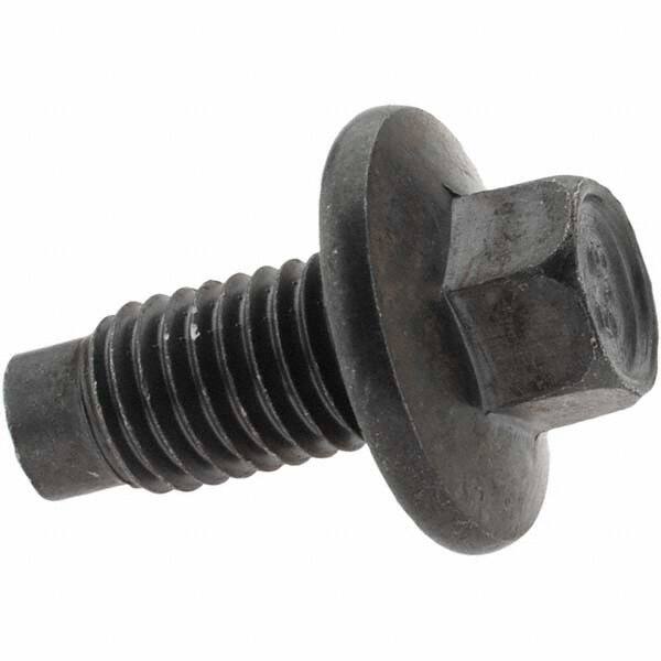 Value Collection - Pilot Point Oil Drain Plug - M12 Thread - Caliber Tooling