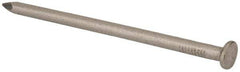 Made in USA - 20D, 6 Gauge, 4" OAL Common Nails - Smooth Shank, T304 Stainless Steel - Caliber Tooling