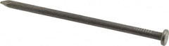 Value Collection - 16D, 8 Gauge, 3-1/2" OAL Common Nails - Ring Shank, Grade 2 Steel, Bright Finish - Caliber Tooling