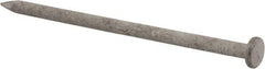 Value Collection - 16D, 8 Gauge, 3-1/2" OAL Common Nails - Ring Shank, Grade 2 Steel, Galvanized Finish - Caliber Tooling