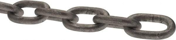 Peerless Chain - 3/16" Welded Proof Coil Chain - 800 Lb Capacity, Grade 30, Carbon Steel, Hot Galvanized Finish - Caliber Tooling