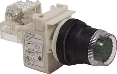 Schneider Electric - 30mm Mount Hole, Extended Straight, Pushbutton Switch with Contact Block - Green Pushbutton, Momentary (MO) - Caliber Tooling