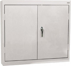 Sandusky Lee - 2 Shelf Wall Storage Cabinet - Steel, 30" Wide x 12" Deep x 30" High, Dove Gray - Caliber Tooling