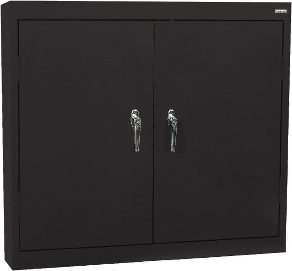 Sandusky Lee - 3 Shelf Wall Storage Cabinet - Steel, 36" Wide x 12" Deep x 30" High, Black - Caliber Tooling