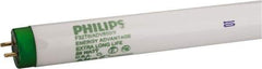 Philips - 25 Watt Fluorescent Tubular Medium Bi-Pin Lamp - 5,000°K Color Temp, 2,400 Lumens, T8, 36,000 hr Avg Life - Caliber Tooling