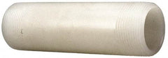 NIBCO - 1" Pipe, PVDF Threaded Plastic Pipe Nipple - Schedule 80, Natural - Caliber Tooling