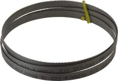 Starrett - 10 to 14 TPI, 5' Long x 1/2" Wide x 0.025" Thick, Welded Band Saw Blade - Bi-Metal, Toothed Edge, Raker Tooth Set, Contour Cutting - Caliber Tooling