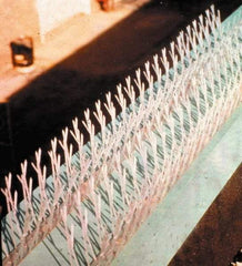 Bird-X - Plastic Bird Spikes - 4-1/2 Inch High x 2-1/4 Inch Wide x 50 Ft. Long x 0.5 Inch Thick - Caliber Tooling