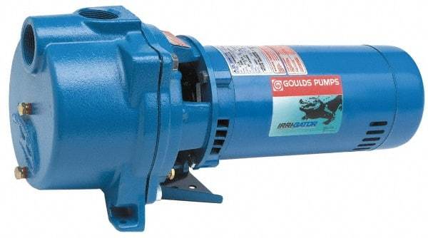 Goulds Pumps - 115/230 Volt, 16.2/8.1 Amp, 1 Phase, 1 HP, Self Priming Centrifugal Pump - 48J Frame, 1-1/2 Inch Inlet, 60 Max GPM, ODP Motor, Cast Iron Housing, Noryl Impeller, 118 Ft. Shut Off, Carbon Ceramic Mechanical Seal - Caliber Tooling