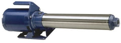 Goulds Pumps - 1/2 hp, 1 Phase, 115/230 Volt, Suction and Gravity Feed Pump, Multi Stage Booster Pump - Water Supply Booster, ODP Motor, 9 Stage - Caliber Tooling