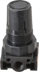 Parker - 1/4 NPT Port, Plastic Miniature Regulator - 0 to 125 psi Range, 150 Max psi Supply Pressure, 1/8" Gauge Port Thread, 1.6" Wide x 3.1" High - Caliber Tooling