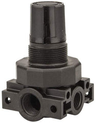 Parker - 3/8 NPT Port, Plastic Miniature Regulator - 0 to 125 psi Range, 150 Max psi Supply Pressure, 1/4" Gauge Port Thread, 2.06" Wide x 3.43" High - Caliber Tooling