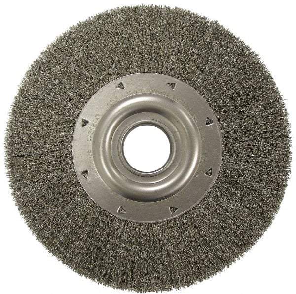 Weiler - 12" OD, 2" Arbor Hole, Crimped Steel Wheel Brush - 2" Face Width, 2-7/8" Trim Length, 0.02" Filament Diam, 3,000 RPM - Caliber Tooling