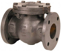 NIBCO - 2" 3% Nickel Check Valve - Flanged, 200 WOG - Caliber Tooling