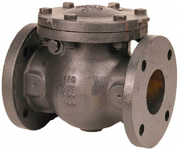 NIBCO - 12" Cast Iron Check Valve - Flanged, 200 WOG - Caliber Tooling