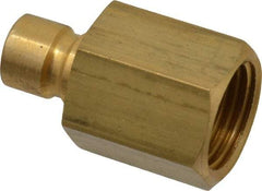 Coilhose Pneumatics - 1/2-14" NPT, 3/8" Body Diam, Coolant & Fluid Line Female Connectors - Brass - Caliber Tooling