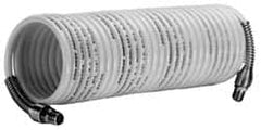 Coilhose Pneumatics - 1/4" ID x 1/4 NPT x 17', Natural Coiled & Self Storing Air Hose - 185 Max PSI, Rigid Fitting - Caliber Tooling