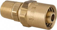 Dixon Valve & Coupling - 3/8 NPTF, Reusable Hose Male Fitting - 3/8" Hose ID x 11/16" Hose OD - Caliber Tooling