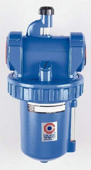 Coilhose Pneumatics - 1-1/4 NPT Port, 250 Max psi, Large Capacity Lubricator - Metal Bowl, Zinc Body, 25 CFM, 150°F Max, 11" High - Caliber Tooling